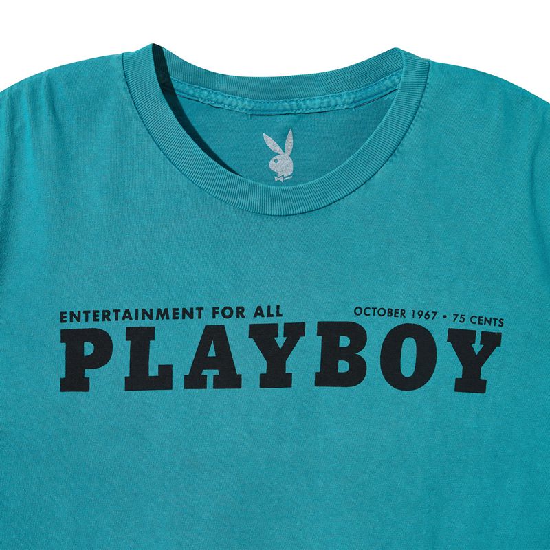 Camisas Playboy October 1967 Washed Masculino Verdes | CFISW2703