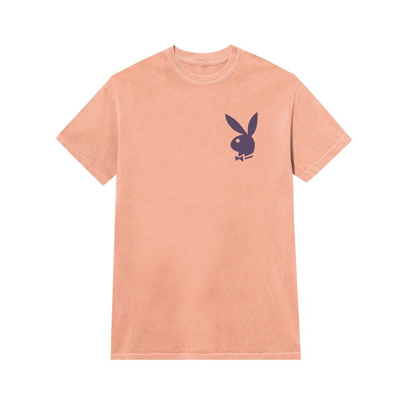 Camisas Playboy Peach Graphic Masculino Rosa Roxo | TWIDX7635