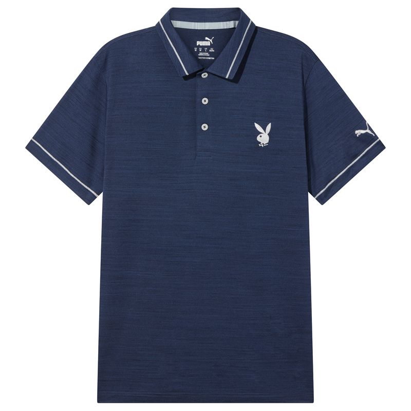 Camisas Playboy Puma Golfe Tipped Performance Polo Masculino Cinzentas | BVDNI8756