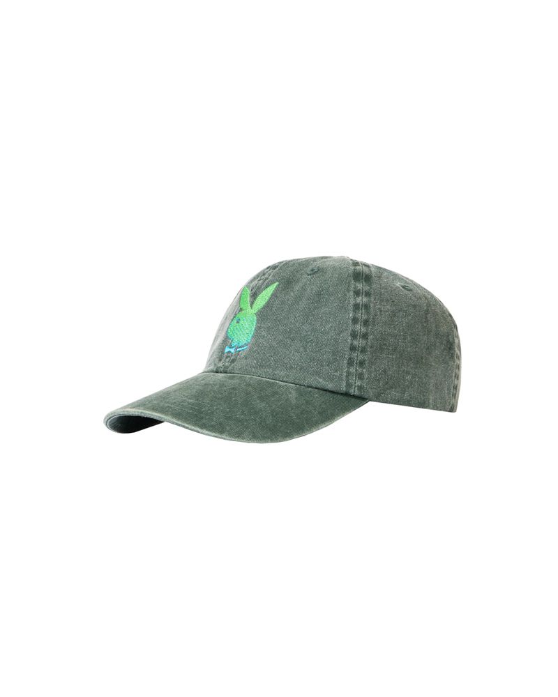 Chapeus Playboy Ombre Rabbit Head Dad Feminino Verdes | RPQMX9137