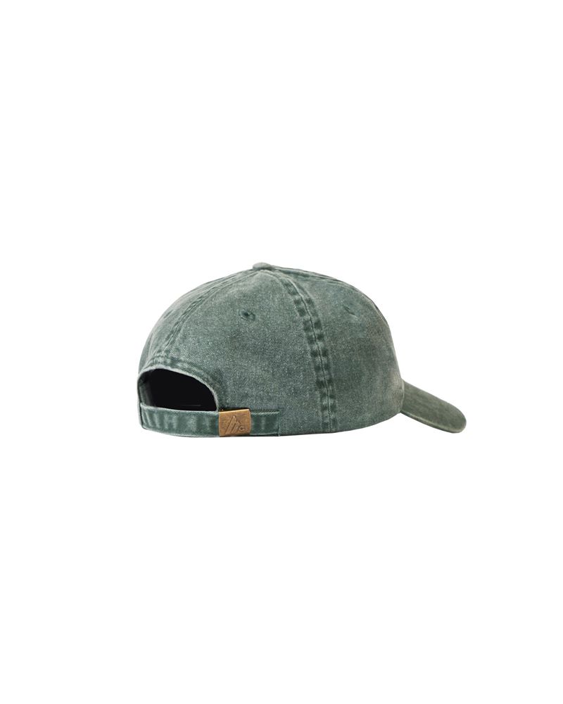 Chapeus Playboy Ombre Rabbit Head Dad Feminino Verdes | RPQMX9137