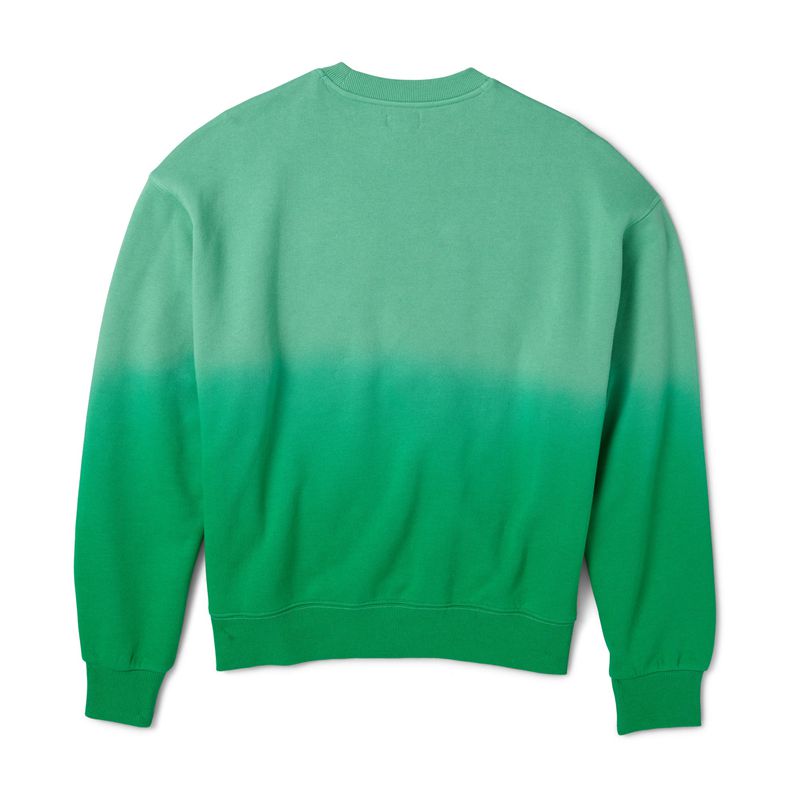 Moletom Com Capuz Playboy Camp Crew Neck Feminino Verdes | WVXUT5189