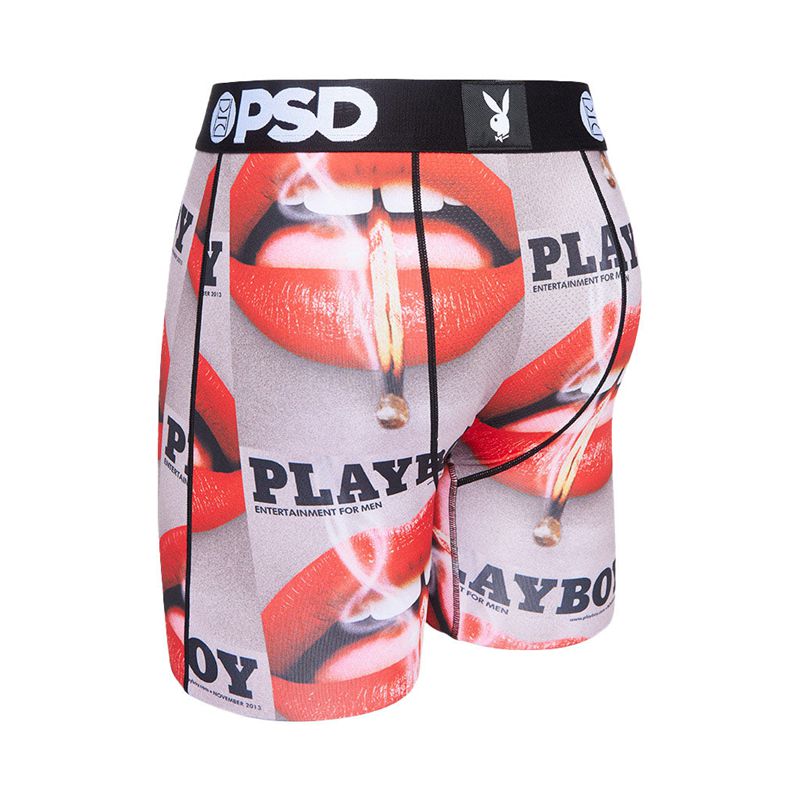 Roupa Interior Playboy November 2013 Cover Boxer Brief Masculino Multicoloridas | DTYWE0783