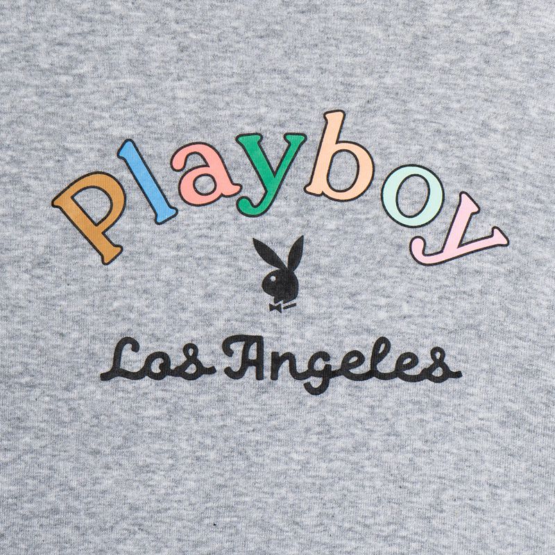 Tank Playboy Rainbow Masthead Long Sleeve Feminino Cinzentas | MBRIO2849